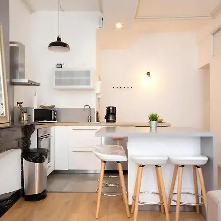 Magnifique 2 Pieces - Plein Centre - Tram 1 Min Apartamento *